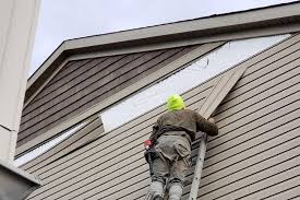 Best Storm Damage Siding Repair  in West Belmar, NJ